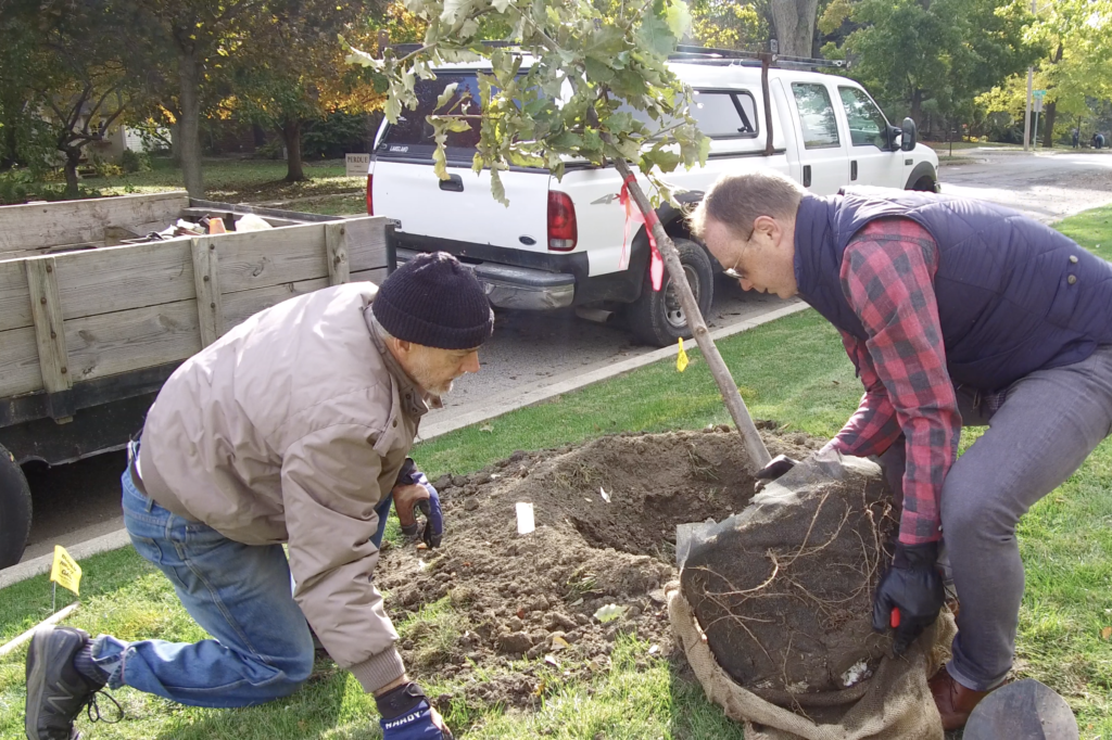 Tree Planting 2018 4.16.36 PM